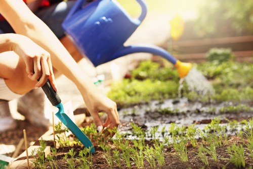 Professional gardening services keeping an East Ham garden tidy