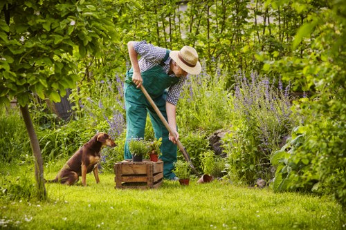 Garden waste sorting and recycling in East Ham