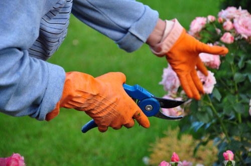 Sustainable garden waste management in East Ham