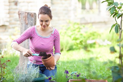 Professional grass cutting in a local East Ham property