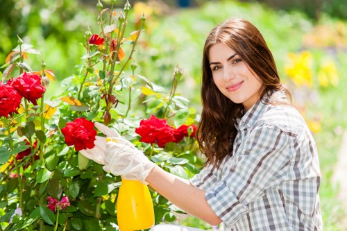 Garden maintenance services in East Ham for tidy lawns and borders