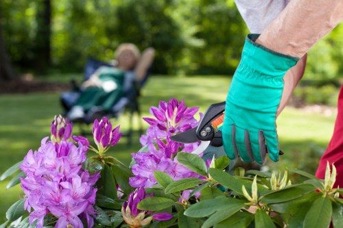 Professional gardening care in an East Ham outdoor space