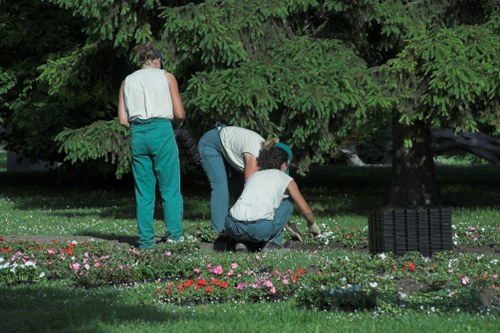 Lawn care and edging as part of East Ham garden maintenance