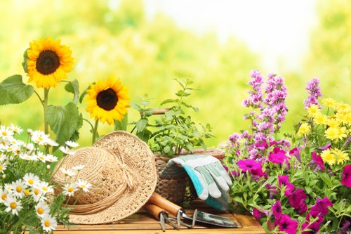 Professional hedge maintenance for a residential property in East Ham