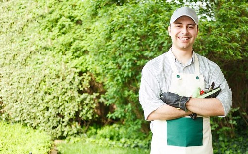 Reviewing a garden maintenance issue