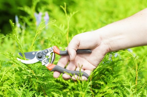 Weed control and border tidying in an East Ham garden