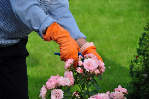 East Ham garden care team restoring structure and balance