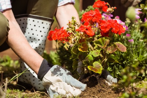 Final review of safety-focused gardening practices